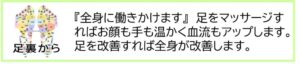 【足裏から全身に】足をマッサージすれば顔色も良くなり、手も暖かくなり、血流もアップします。足を改善すれば全身が改善します